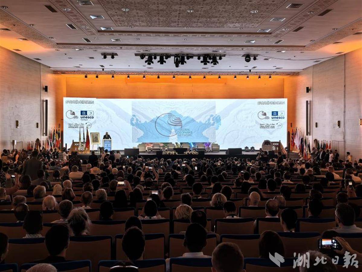 大红鹰登录官网